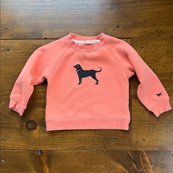 Black Dog Orange Sweatshirt 18 months - Picture 1 of 11
